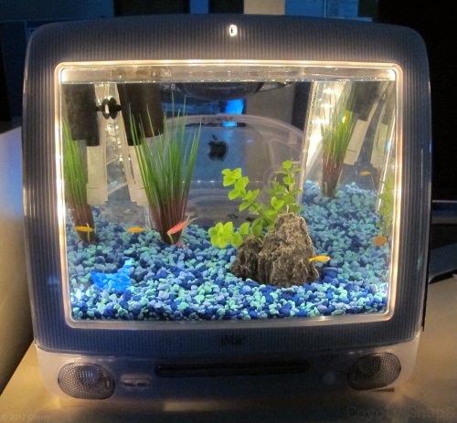 Macquarium"An IMac Converted To An Aquarium, At Tunxis Community College's Computer Center."