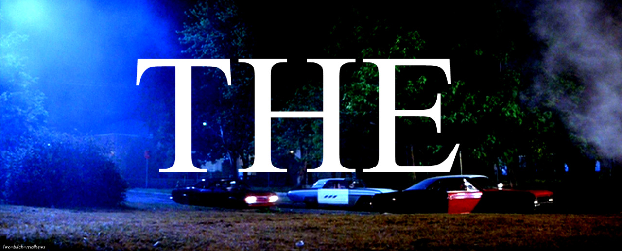 two-bitch-mathews:  The Outsiders   “Easy, buddy, easy,” I heard him say softly,
