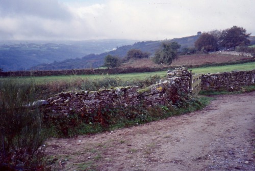 Paisaje con campos y muros de piedra entre Sarria y Portomarín en el Camino francés, Lugo, Galicia, 