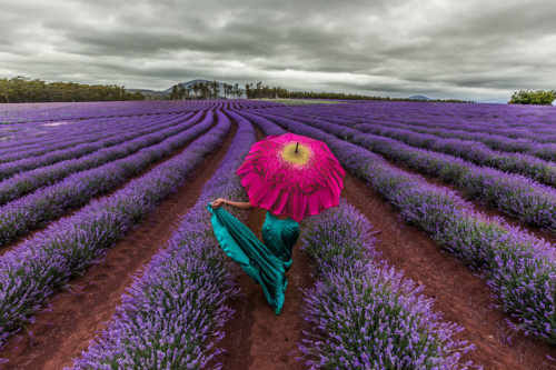 stories-yet-to-be-written:30 Images of Tasmania We Can’t Stop Looking AtAll photos by Mia and Matt G