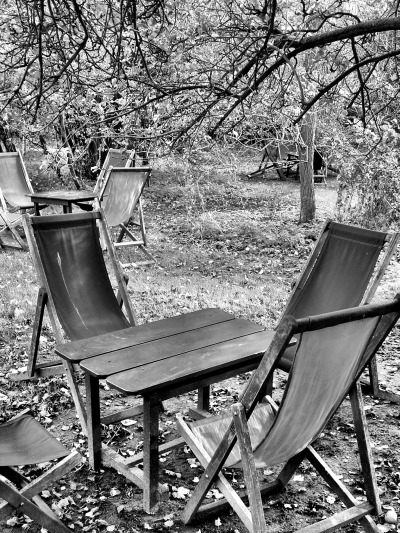 At Granchester Orchard I found my quarry had eluded me once again; but I was gaining on him. The deck chair was warm, and the scone crumbs fresh.