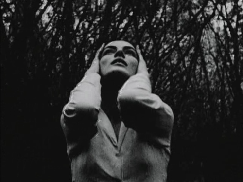 phantomladyoverparis:    Ruke ljubičastih daljina (1962), dir. Sava Trifković 