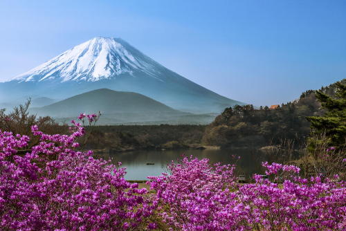 virtouos: Lake Shojiko - Springtime