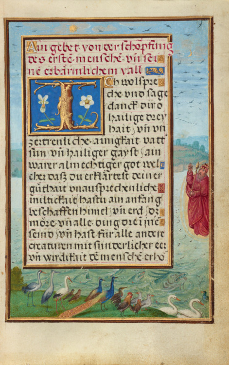 heaveninawildflower: Border with the Creation of Birds and Fish (circa 1525–1530) by Simon Ben