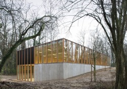 arc-scope:
“KAU Gymnasium, Brussels - URA Architects
https://ura.be/
”