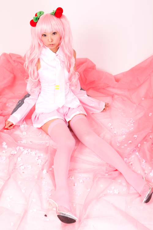 necosmo:  コスプレ　桜ミク　初音ミク／VOCALOID porn pictures