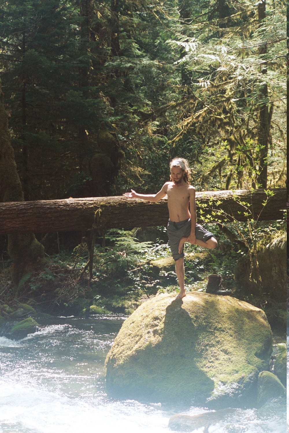 calms:  nature/vintage blog