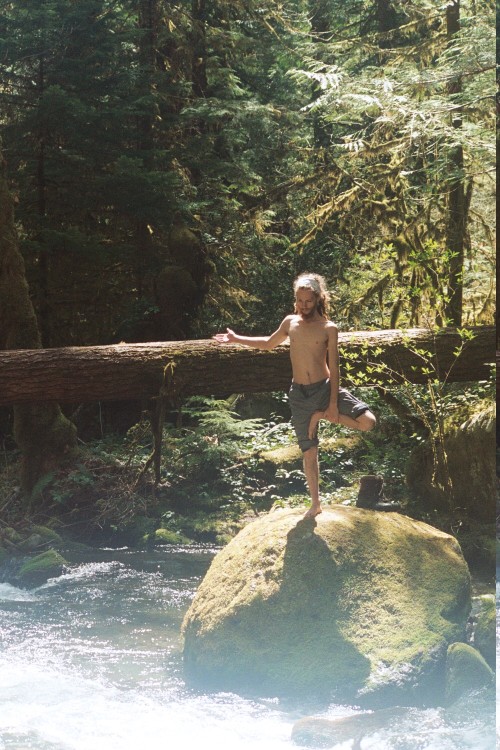 calms:  nature/vintage blog