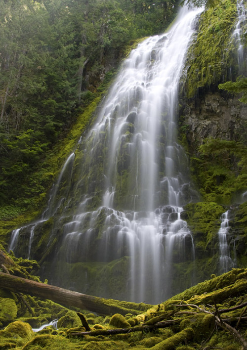 Proxy Falls, Oregon.