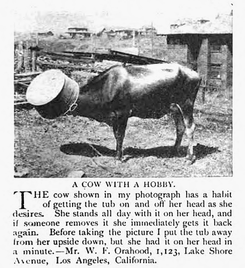 yesterdaysprint:The Strand magazine, England, March 1908
