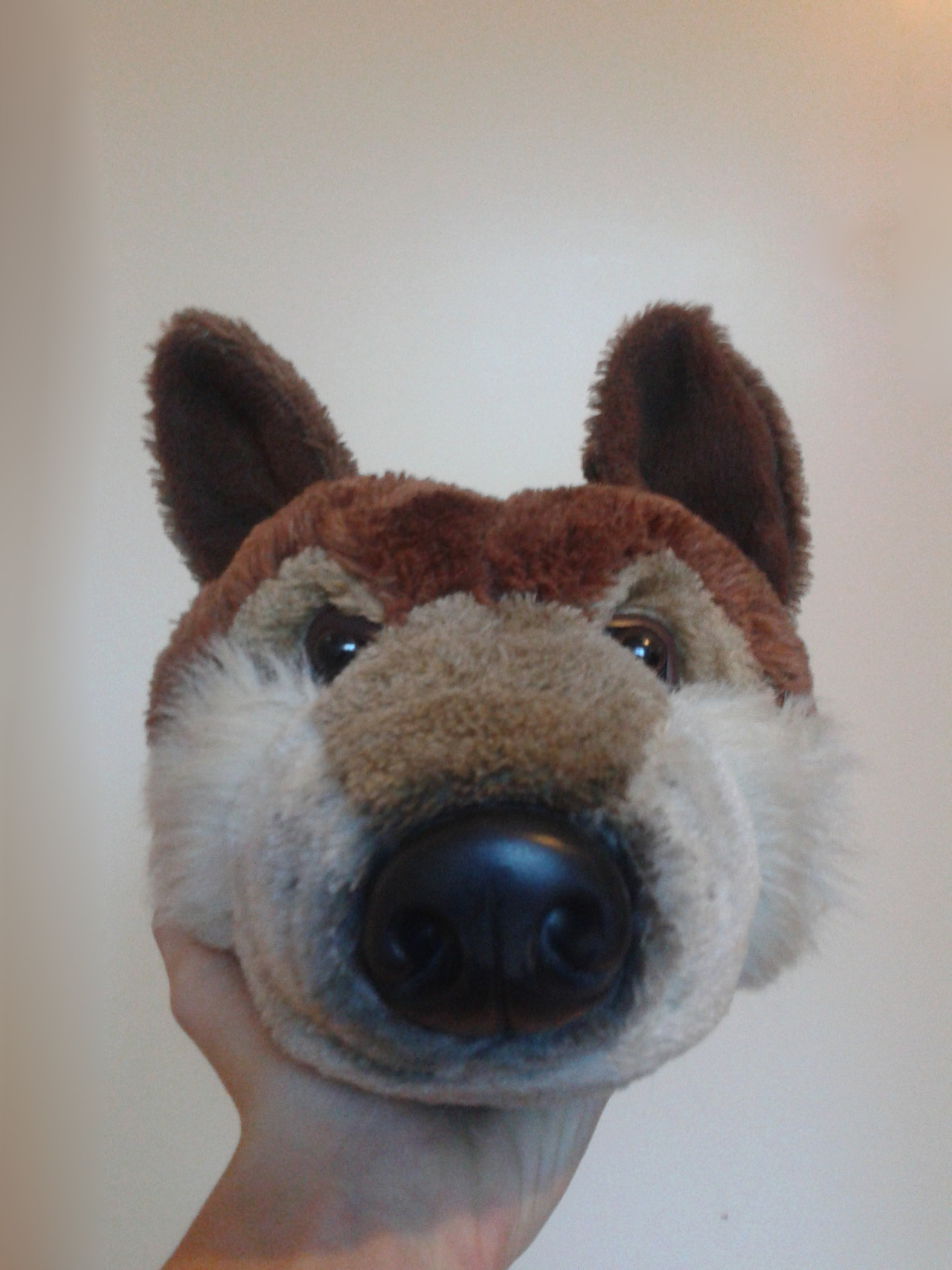 wolveswolves:  My sister&rsquo;s wolf slippers - cute!