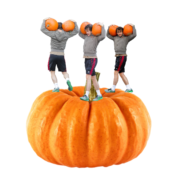 hannibalsbasement:  Hugh Dancy carrying pumpkins while standing on a giant pumpkin