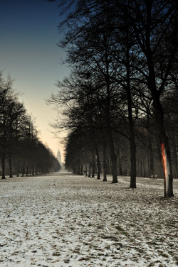 nordvarg:  Großer Garten Dresden (Silvio