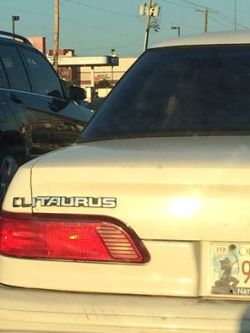 georgetakei:  `When you see it… Oh Myy