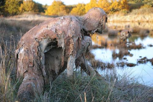 ex0skeletal-undead:Swamp creatures in the Marshes Nature Reserve of Séné in the Gulf of Morbihan in 