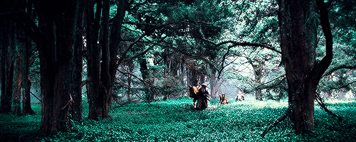 grumpythranduils:Screencap/Gif Meme↳ Elveinking asked Tolkien + Scenerygasm