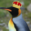 kinguine