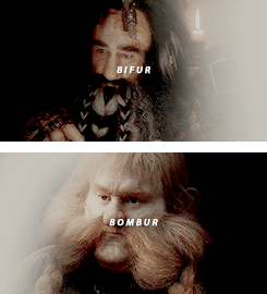 remusjohnslupin:  The Company of Thorin Oakenshield 