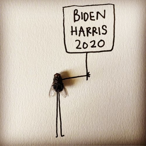 Biden/Harris 2020 🇺🇸❤️💯🙏🏽