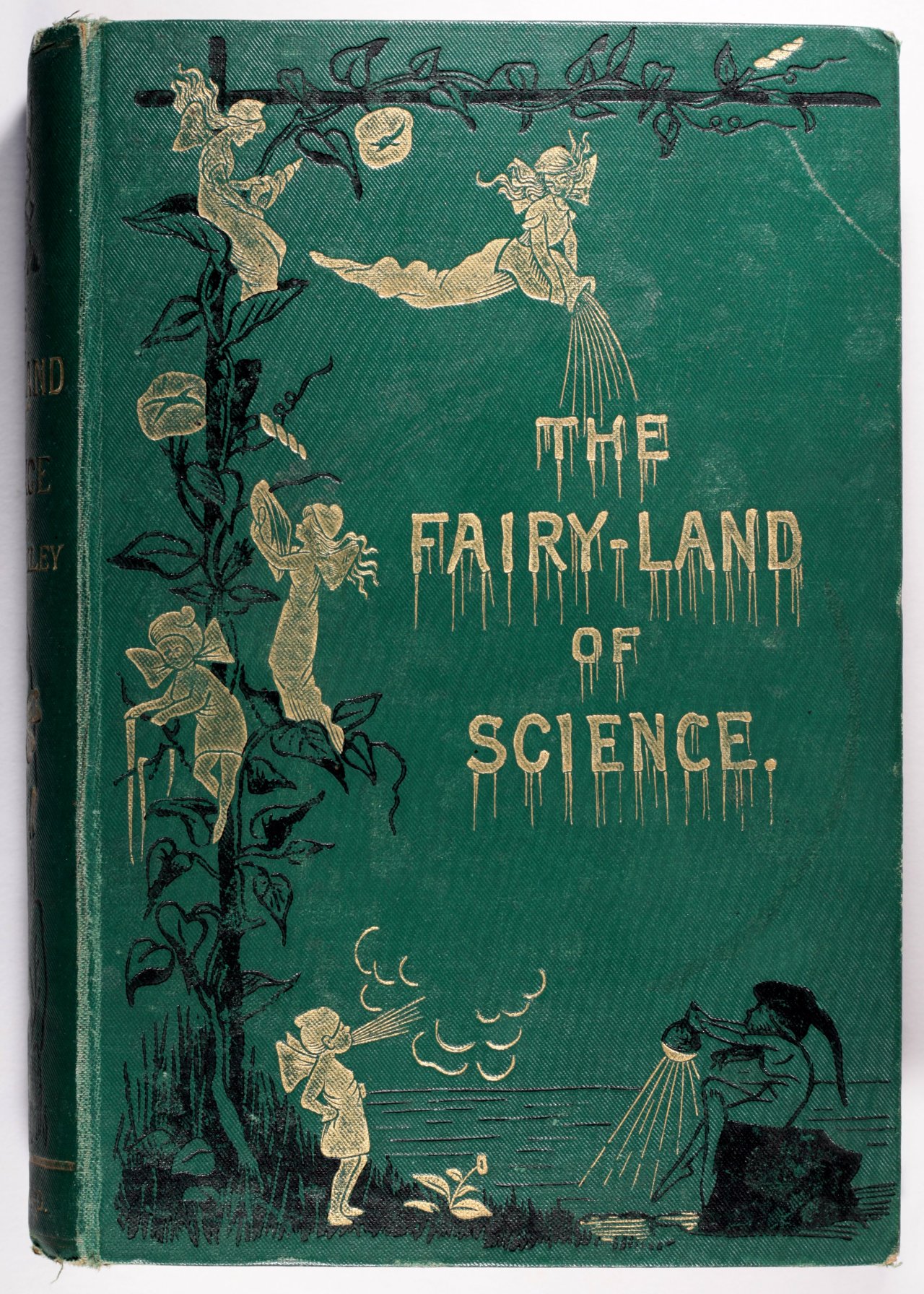 michaelmoonsbookshop: The Fairy-Land of Science 1881