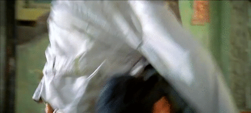 Flash Point (2007) - Donnie Yen Vs Collin Chou