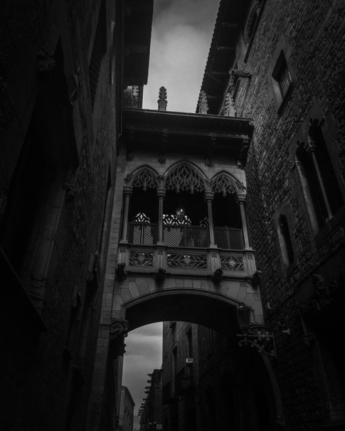 at Pont Gòtic https://www.instagram.com/p/BtIGLE_HzTeG9vTRLB5T6mXGvwHbQJ61VvvxWk0/?utm_source=ig_tumblr_share&igshid=5rlme4ftldr8