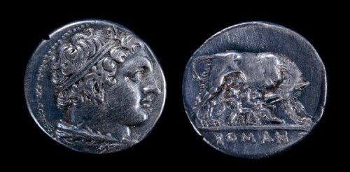 Didrachm with head of Hercules (obverse) and she-wolf suckling Romulus and Remus (reverse)Roman, Rep