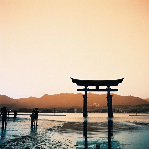 また行きたい、あの場所へ。 miyajima itsukushima shrine