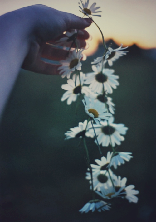 mindless-wonders:  GRUNGE BLOG<3PERSONAL BLOG<3 