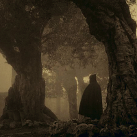 effulgentpoet:we didn’t need dialogue. we had faces. (movie moodboards)LORD OF THE RINGS (2001