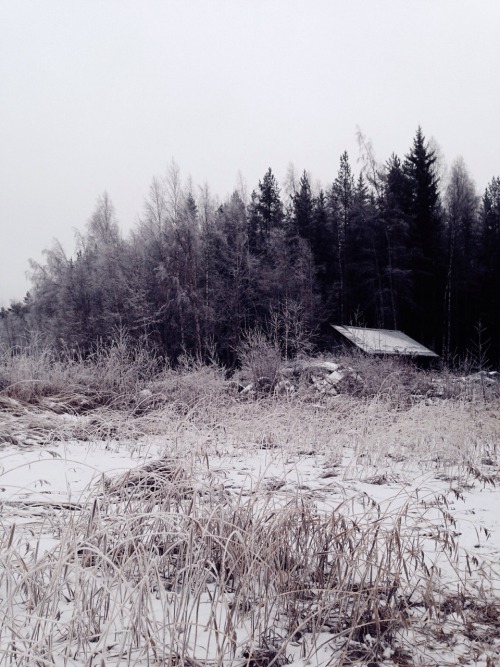 earthiling:We went out on the ice!