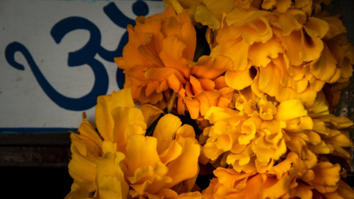 शुभ दीपावली Happy Diwali! Detail of a marigold garland hung on the door of a house for Laxmi, the Go