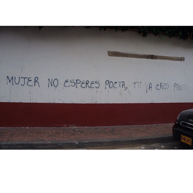 conflictingheart:  &ldquo;Woman. Do not wait for a poet. You are already poetry.&rdquo;