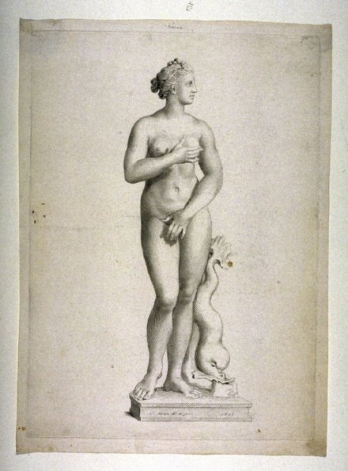 hismarmorealcalm:Claude Mellan engraver  Classic sculpture of Venus 17th century 