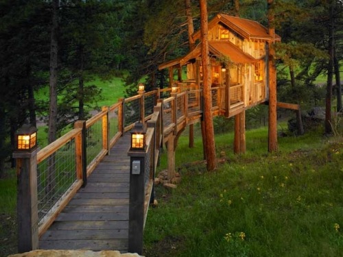 utwo:  Colorado Treehouse© vc moss