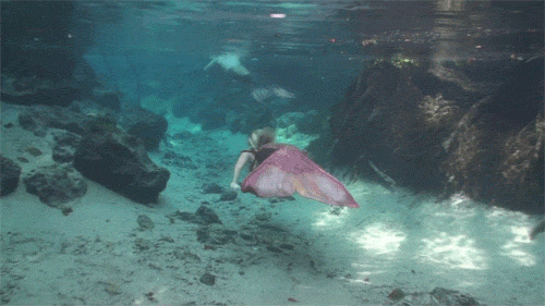 lolablueyes713:  onesubsjourney:  british-swimchick:  sh1p-art:  fantasticmilkshakecherryblossom: