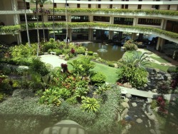 eternal-discumfort:  Got this picture message from my mom of the spa she is staying at for a few nights in Hawaii def unf rite 