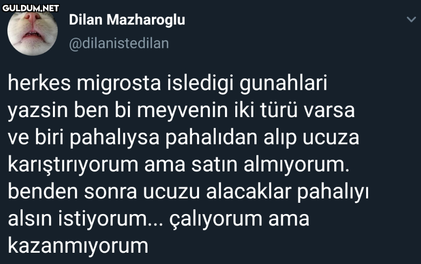 Dilan Mazharoglu...