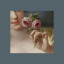 devilin-disguisee