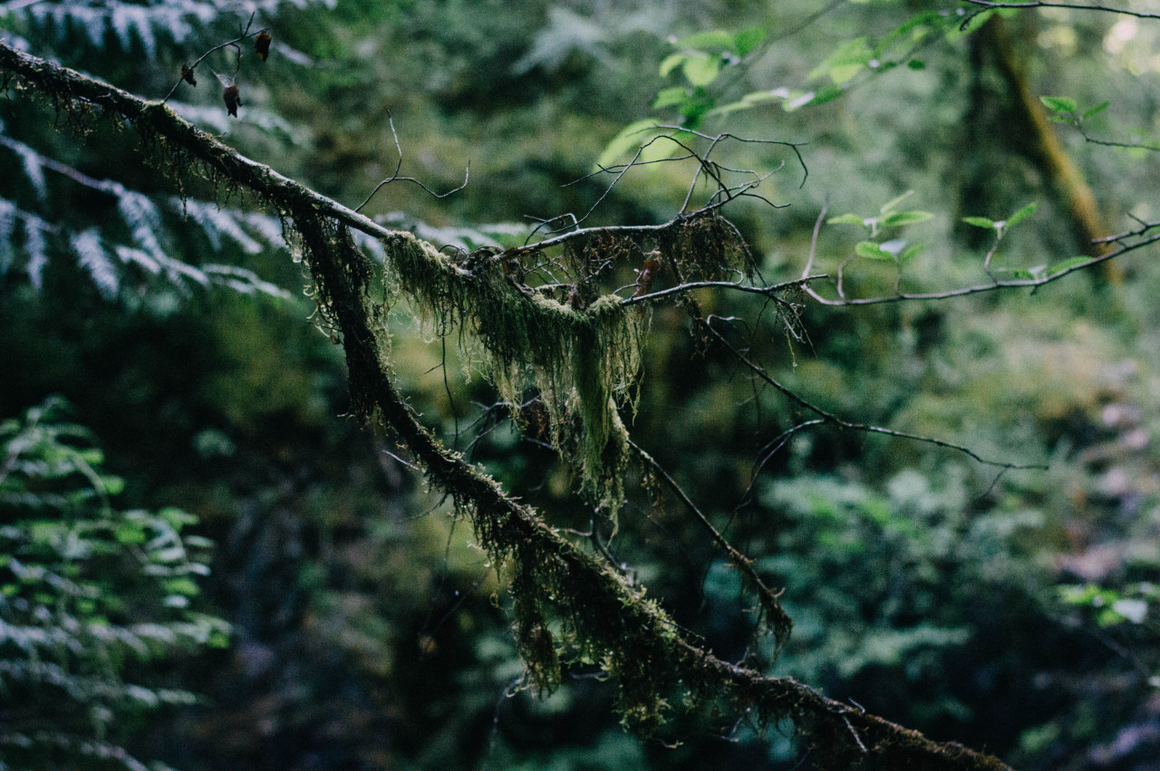 admirebeautyphotography:    Admire Beauty PhotographyTumblr / Facebook / Buy PrintsPlease