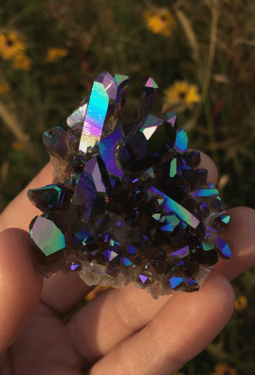 mamadivaa:Pretty new baby with unbelievable colors! 😍😍😍 