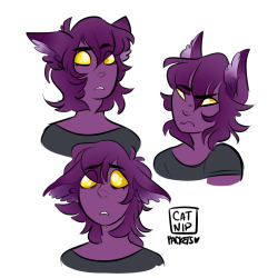 catnippackets:   even if this theory isnt true, I love…..any semblance of kitty ears Galra!Keith might have