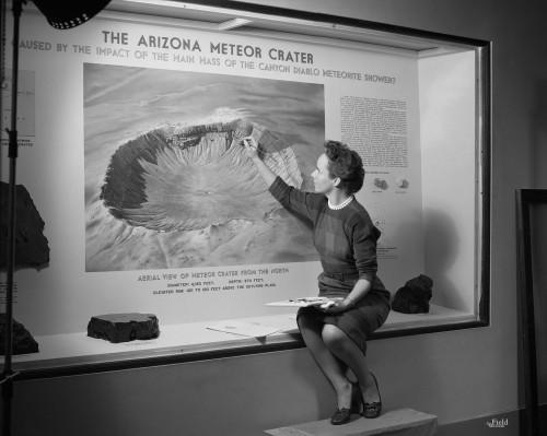 fieldmuseumphotoarchives:Here is a throw back to when the Meteor Crater case was being constructed.&
