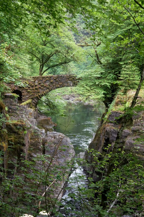 thethingsiveseen-photography: Bridge, Tay Forest Park, Scotland.
