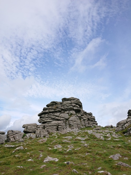 Hound Tor. Dartmoor, Devon, England