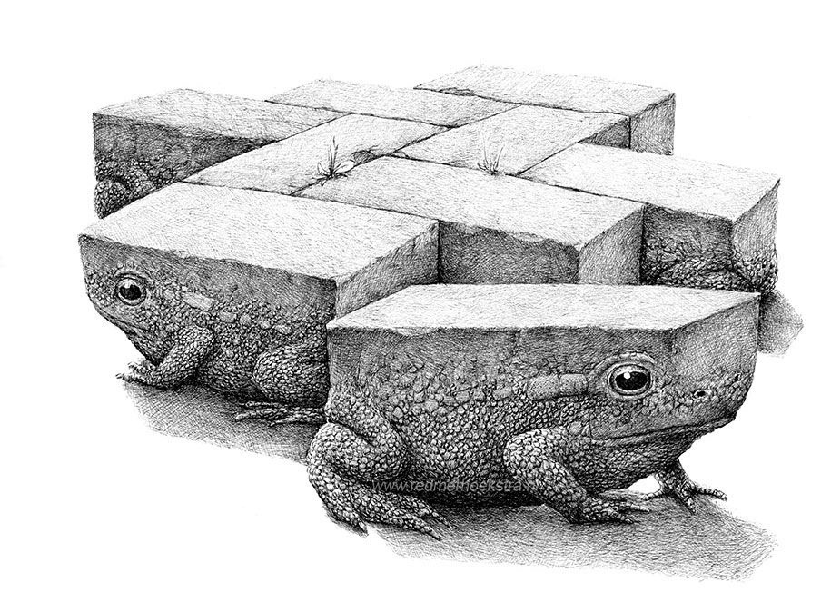 randomitemdrop:  talesfromweirdland:   Dutch artist, Redmer Hoekstra.   Item: swarm of Brick Frogs; once properly bonded to a character, the swarm will obey their command and form walkable solid paths through swamps. 