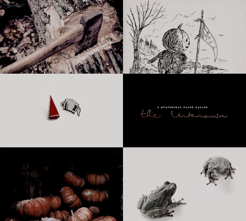 isakvaltersven:  favorite cartoon  → OVER THE GARDEN WALL “That is NOT the Beast! Th