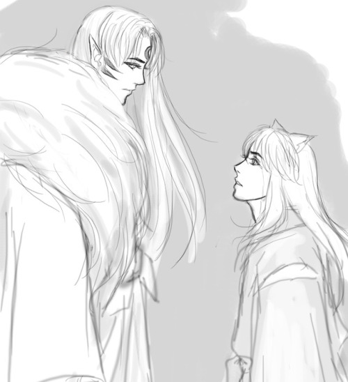 when Sesshomaru was first introduced in the story, Inuyasha already have ill feelings towards him. T