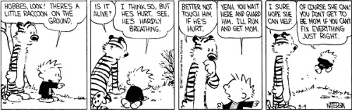 constellation-funk:  alriggs:  secretlifeofageekygirl:  scarcerare:  Some of my favorite Calvin and Hobbes strips. Bill Watterson had such an incredible cryptic and philosophical style, and it just makes me excited to read the comics over and over again.