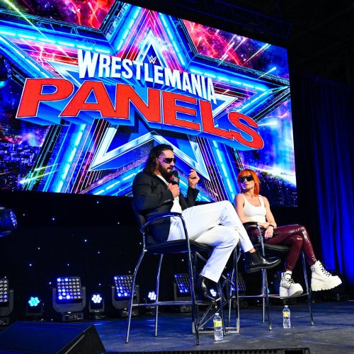 Wrestlemania Panel DigitalsGallery: https://seth-rollins-fans.smugmug.com/Seth-Rollins/Digitals/Othe